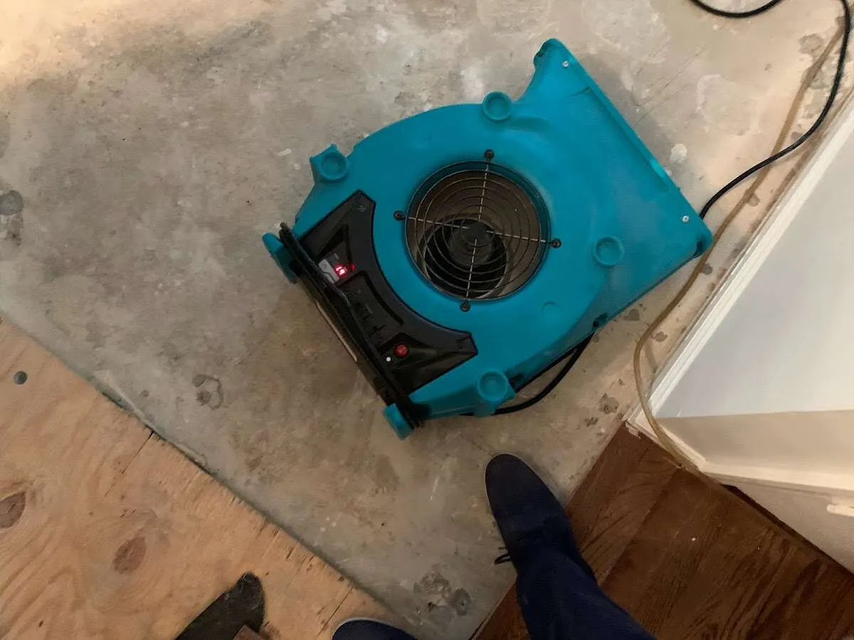 Air mover drying subfloor during Commercial Water Damage Restoration in Tillmans Corner